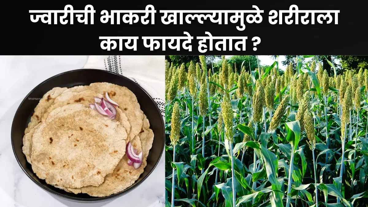 Jowar Roti Benefits