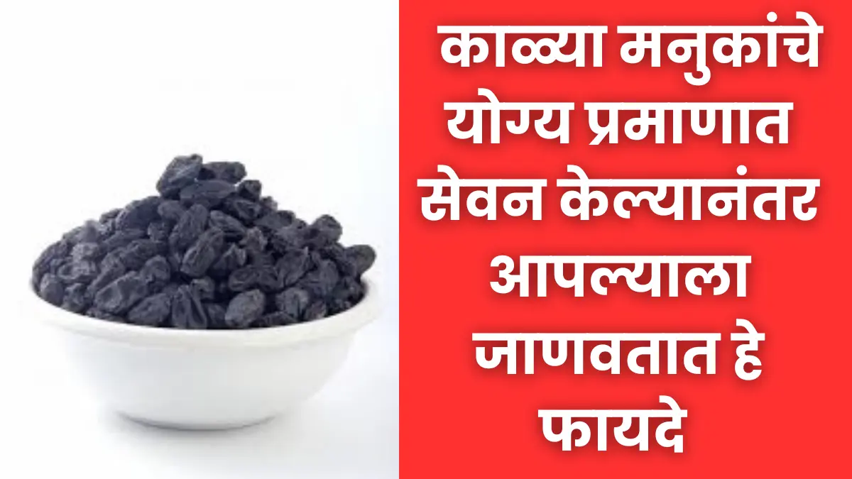 Black Raisins Benefits