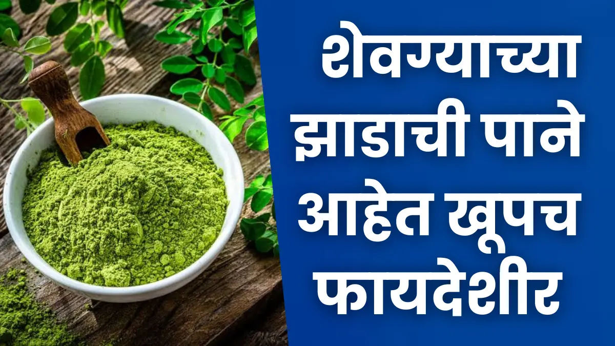 Moringa Benefits