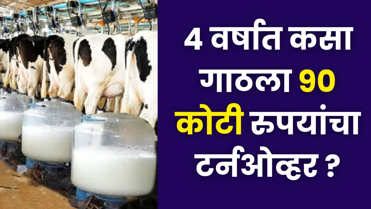 Nashik Dairy Business