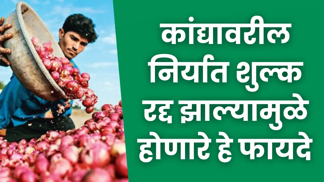 Onion Export Duty