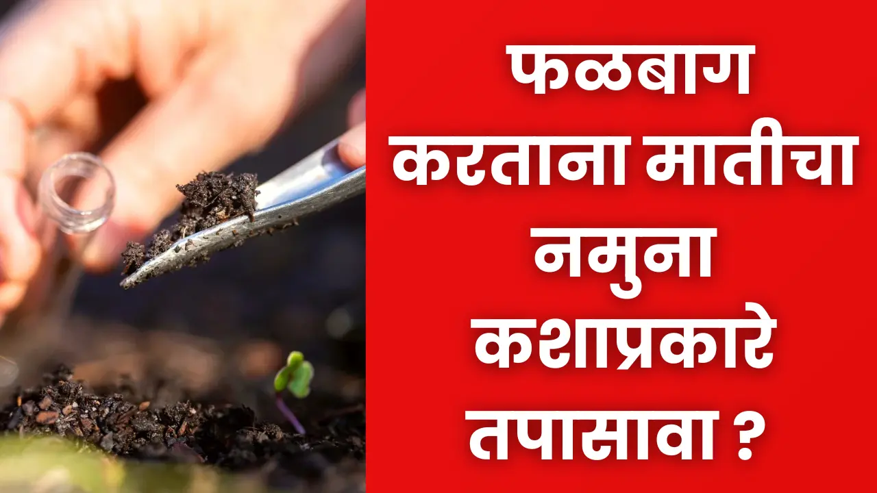 Horticulture Soil Testing