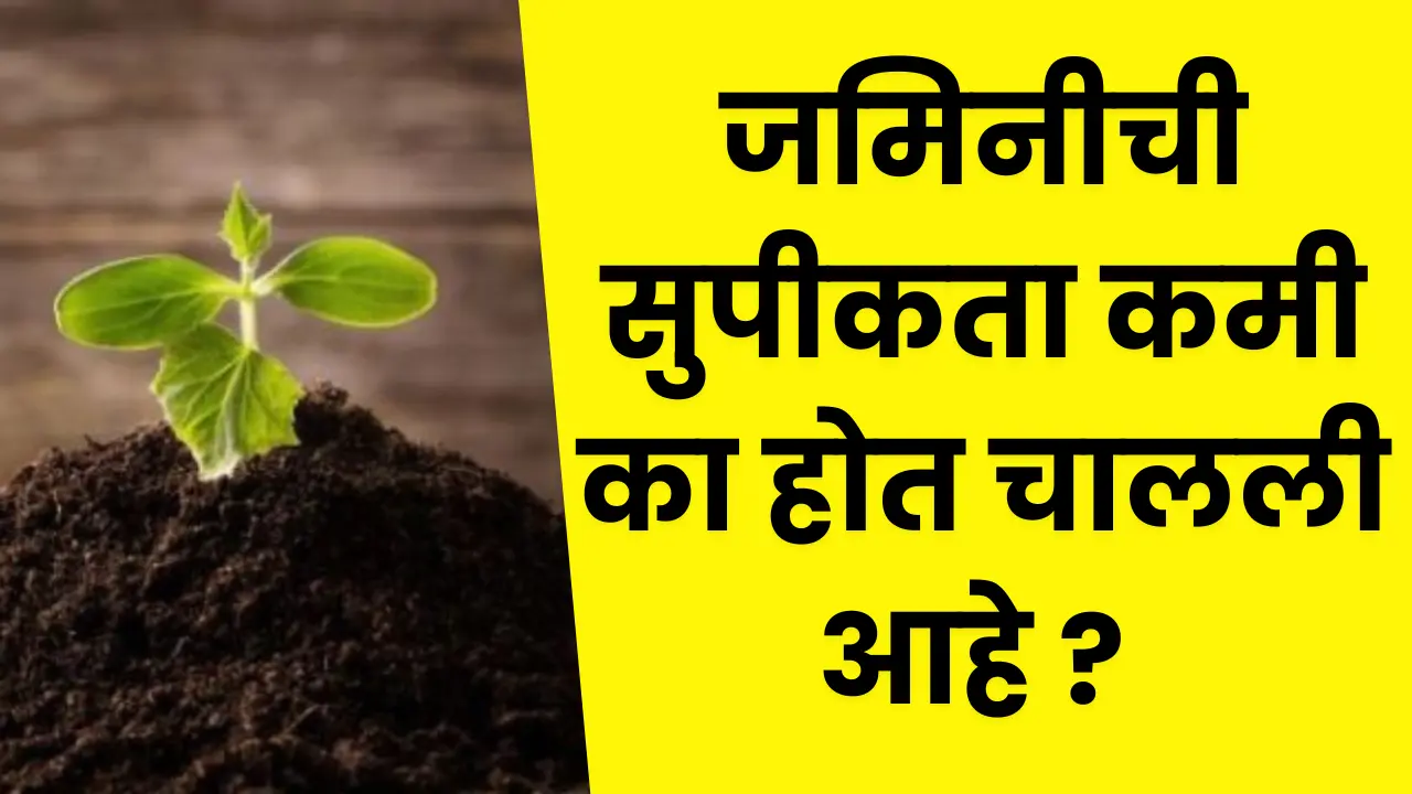 Soil Fertility Decreasing