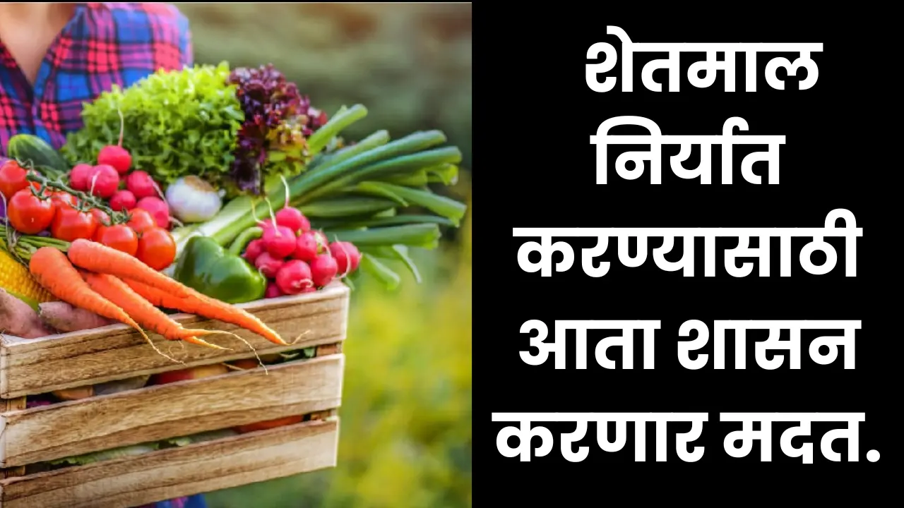 Vegetable Export