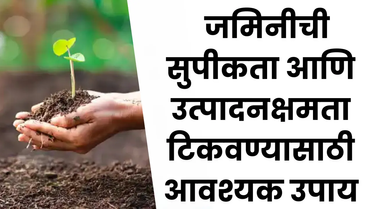 Soil Fertility