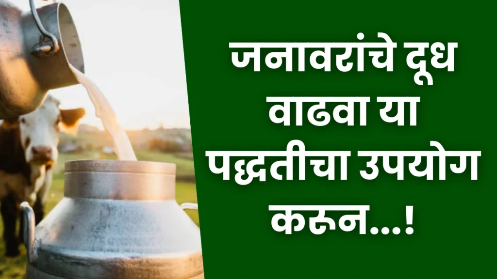 Milk Production Rules