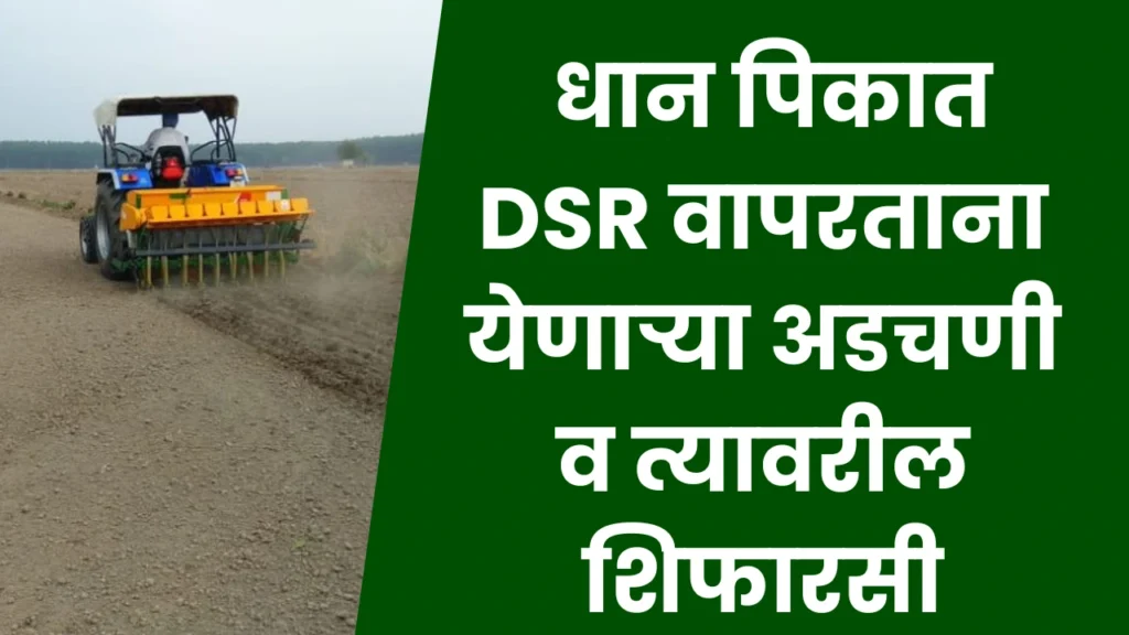Direct Seeding DSR Method