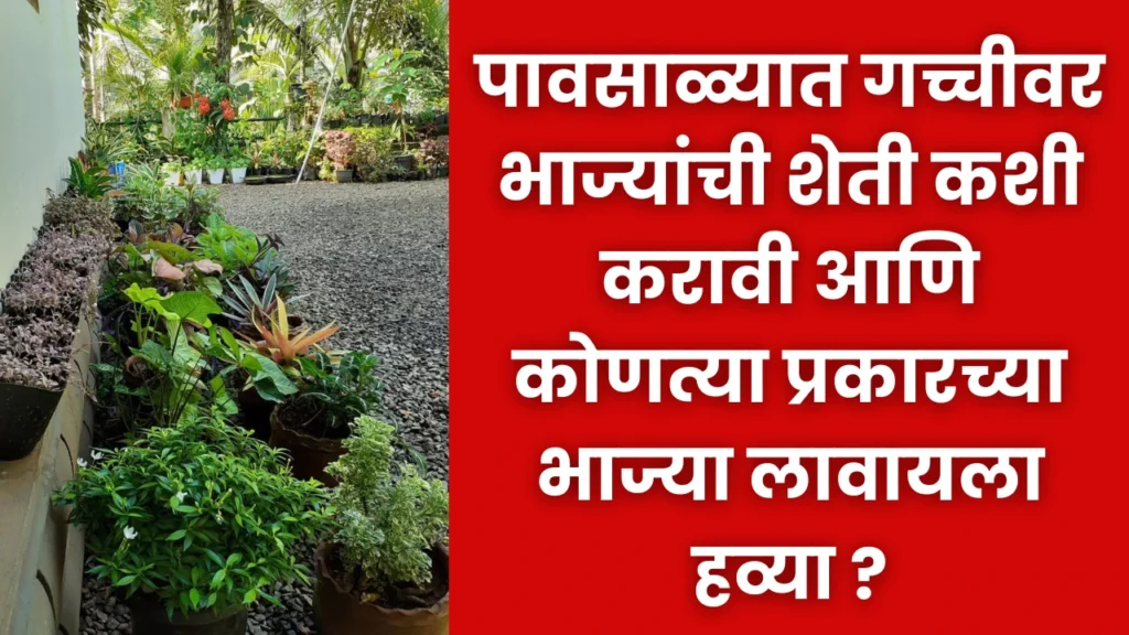 Home Garden