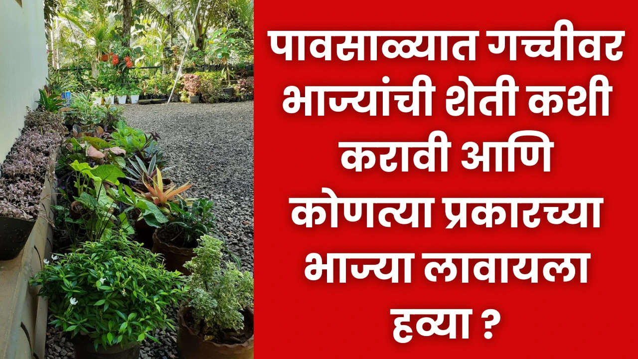 Home Garden