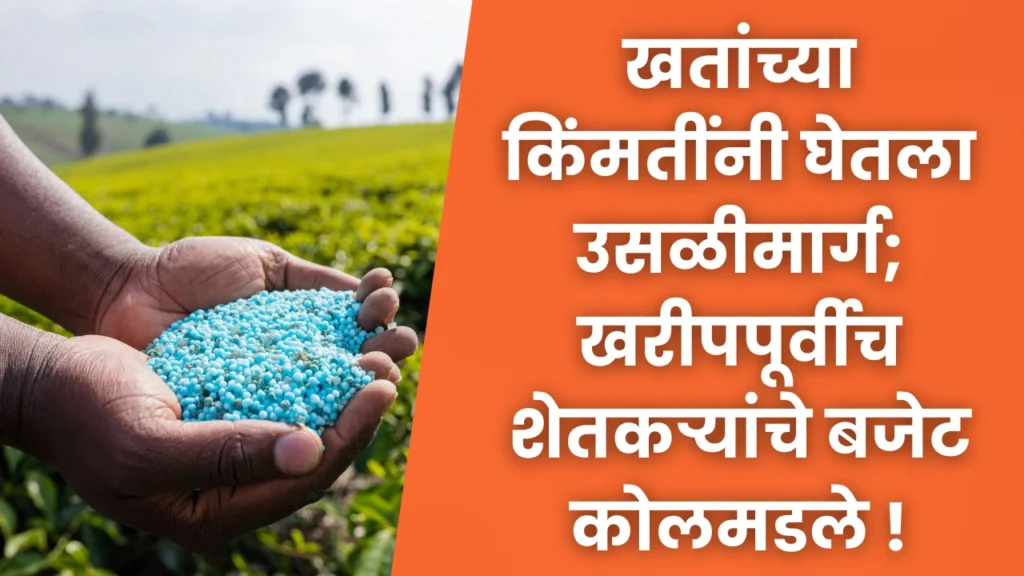 Chemical Fertiliser Price Increased